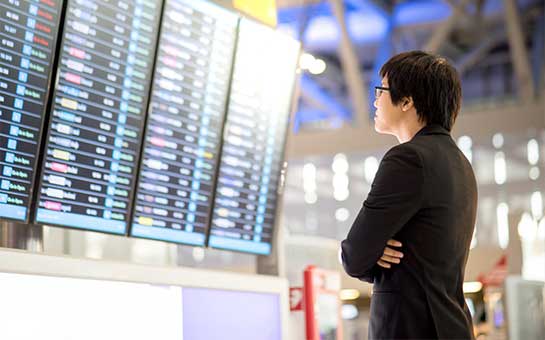 行李丢失与行李延误保障  | Insubuy